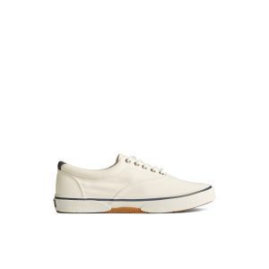 Halyardcvost White Men's Sneakers