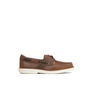 Surveyor2el Dark Brown Men's Men