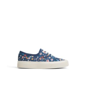 Candycvo Blue Combo Women's Sneakers